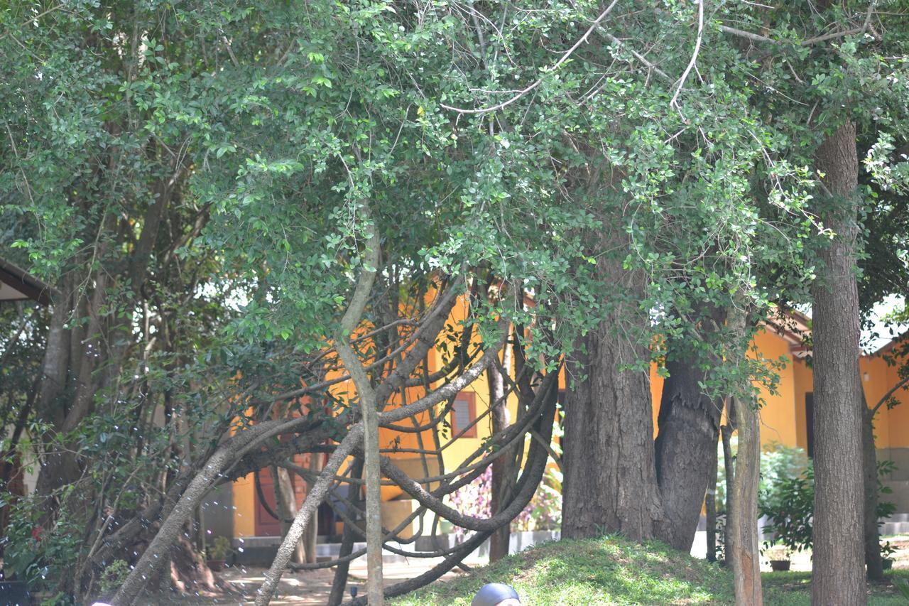 Sigiri Resort 锡吉里亚 外观 照片
